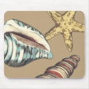 Recherche de coquilles tapis souris Coquille de conque