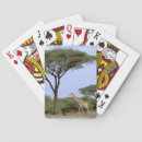 Recherche de sud jeux de cartes Arbre