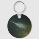 Recherche de crevette porteclés Crustacé