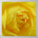 Recherche de soleil lumineux posters Jaune