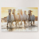 Recherche de chevaux puzzles Coucher de soleil