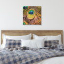 Recherche de paon impressions sur toile Plume