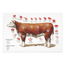 Recherche de viande de boeuf posters Couper