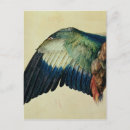 Recherche de oiseau mort cartes postales Albrecht