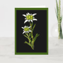 Zoek naar edelweiss kaarten Zwitserse alpen