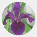 Recherche de iris autocollants Nature