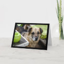Recherche de loyal vœux cartes Chiot