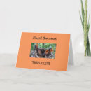 Zoek naar triplets kaarten Fotografie