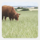 Recherche de animaux de prairie autocollants Nature