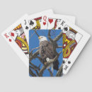 Recherche de rapace jeux de cartes Faune