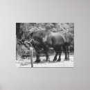 Zoek naar werk paarden posters Concept