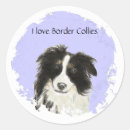 Recherche de border collies travaux manuels fêtes Colley