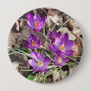 Recherche de crocus badges Printemps