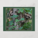 Recherche de bordures cartes postales Animaux