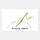 Recherche de mante autocollants Faune