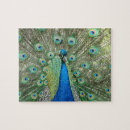 Zoek naar peacock puzzels Groen