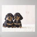 Recherche de de couverture art Bébé