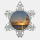 Recherche de paysage tropical ornements Océan