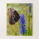 Recherche de morpho puzzles Papillon bleu morpho