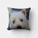 Recherche de terrier coussins Westie