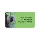 Recherche de visage singe cartes invitations Safari
