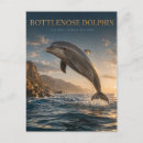 Recherche de dauphins cartes postales Grand dauphin