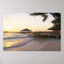 Zoek naar hawaiian posters Mooi