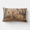 Recherche de buck coussins Nature