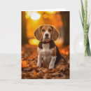 Zoek naar beagle pup kaarten Dier