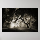 Recherche de clair de lune posters Nature