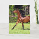 Zoek naar werking kaarten Paard