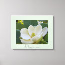 Zoek naar witte bloemen fotografie Tuin