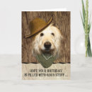Recherche de labradoodle Animaux domestiques