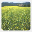 Recherche de toscane autocollants Ferme