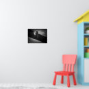 Recherche de chats de chat photographie Noir et blanc
