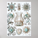 Recherche de vintage botanical posters Nature