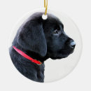 Recherche de black lab ornements Chiot