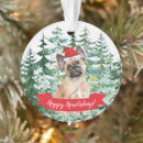 Recherche de chiot de bouledogue ornements Noël