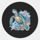 Zoek naar grappige schildpad stickers Weer goed voor amerika