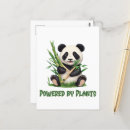 Recherche de ours panda cartes postales Bambou