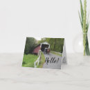 Recherche de erreur photographie Amish