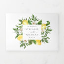 Recherche de trois citrons Aquarelle