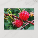 Recherche de framboise cartes visite Nourriture
