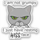 Zoek naar katten gezicht stickers Huisdier