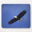 Recherche de aigle vol tapis souris Animal