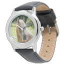 Recherche de portrait de cheval accessoires Crinière