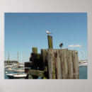 Recherche de vignoble posters Martha