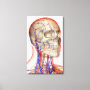 Recherche de gen art Vue