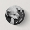 Recherche de chien blanc badges Photographie