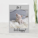 Recherche de malheureux vœux cartes Chat